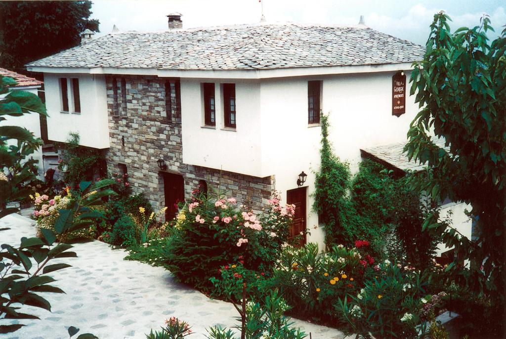 Villa Georgie Tsagarada Bagian luar foto