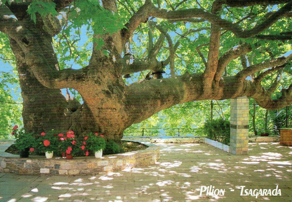 Villa Georgie Tsagarada Bagian luar foto
